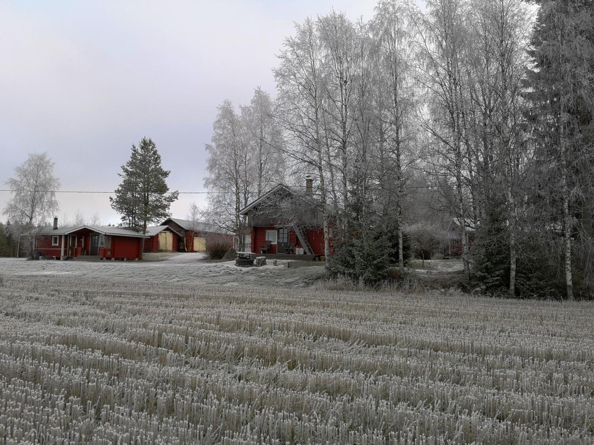 Maatilamatkailu Ilomaeki Seinäjoki Стая снимка