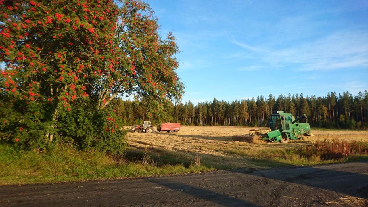 Maatilamatkailu Ilomaeki Seinäjoki Екстериор снимка